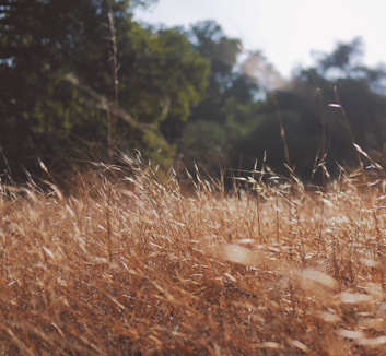 欧冠淘汰赛中的胜利者将继续征战